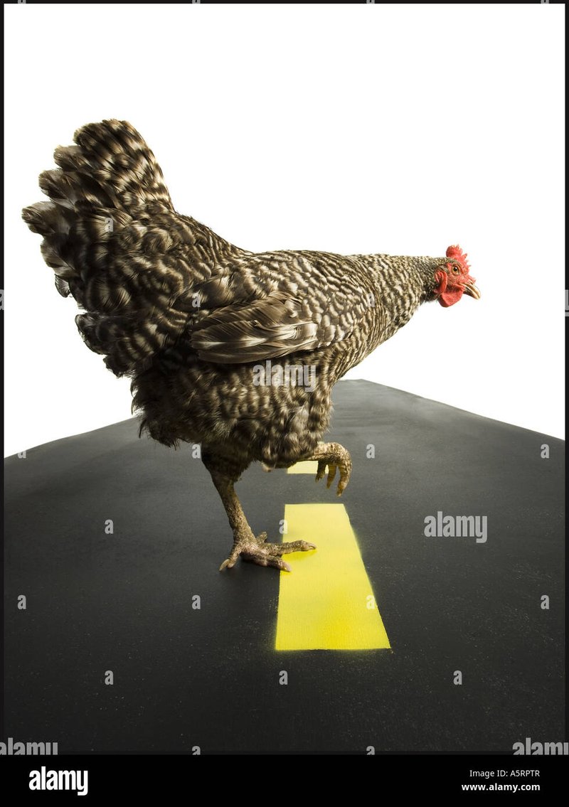 Best chicken road demo in Germany